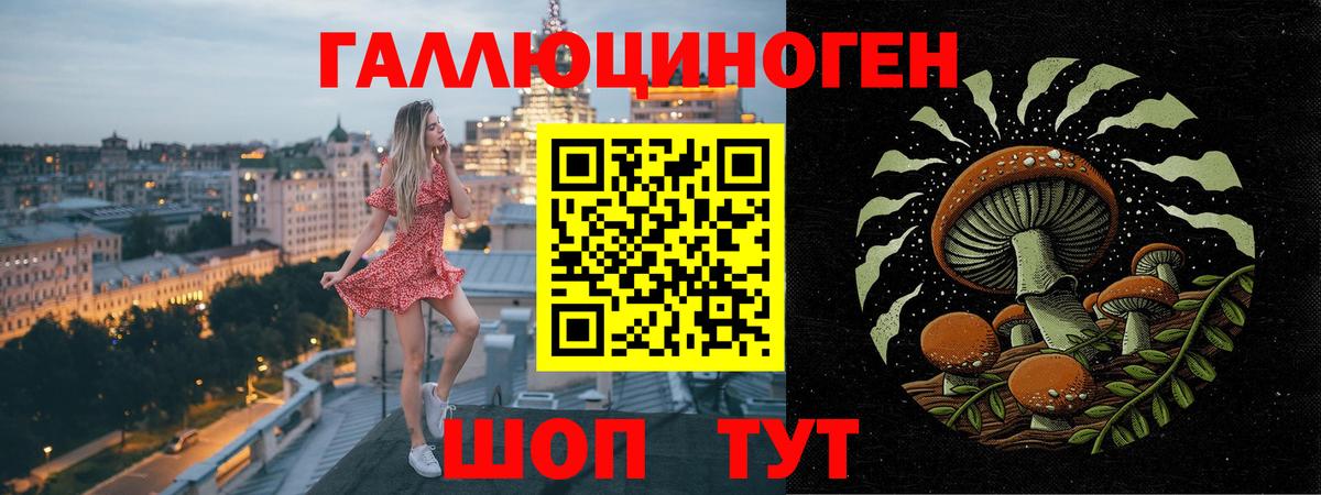 Галлюциногенные грибы Psilocybine cubensis  Вход с VPN  как найти наркотики  Лосино-Петровский 